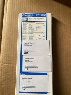 Chaperon Guiding Catheter 5FR for Neurovascular