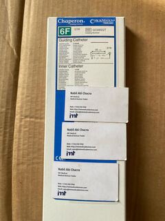 Chaperon Guiding Catheter 6FR for Neurovascular 